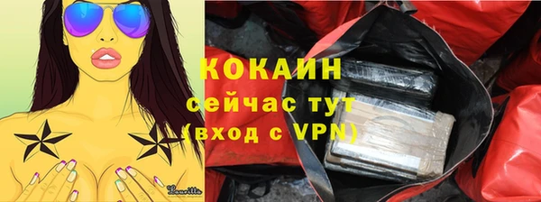 apvp Богородск
