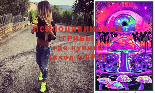 spice Беломорск
