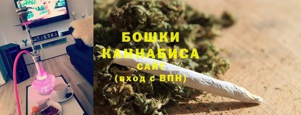 сатива Белокуриха