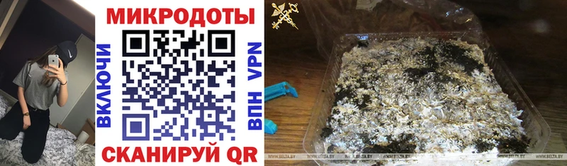 продажа наркотиков  Волчанск  Галлюциногенные грибы Magic Shrooms 